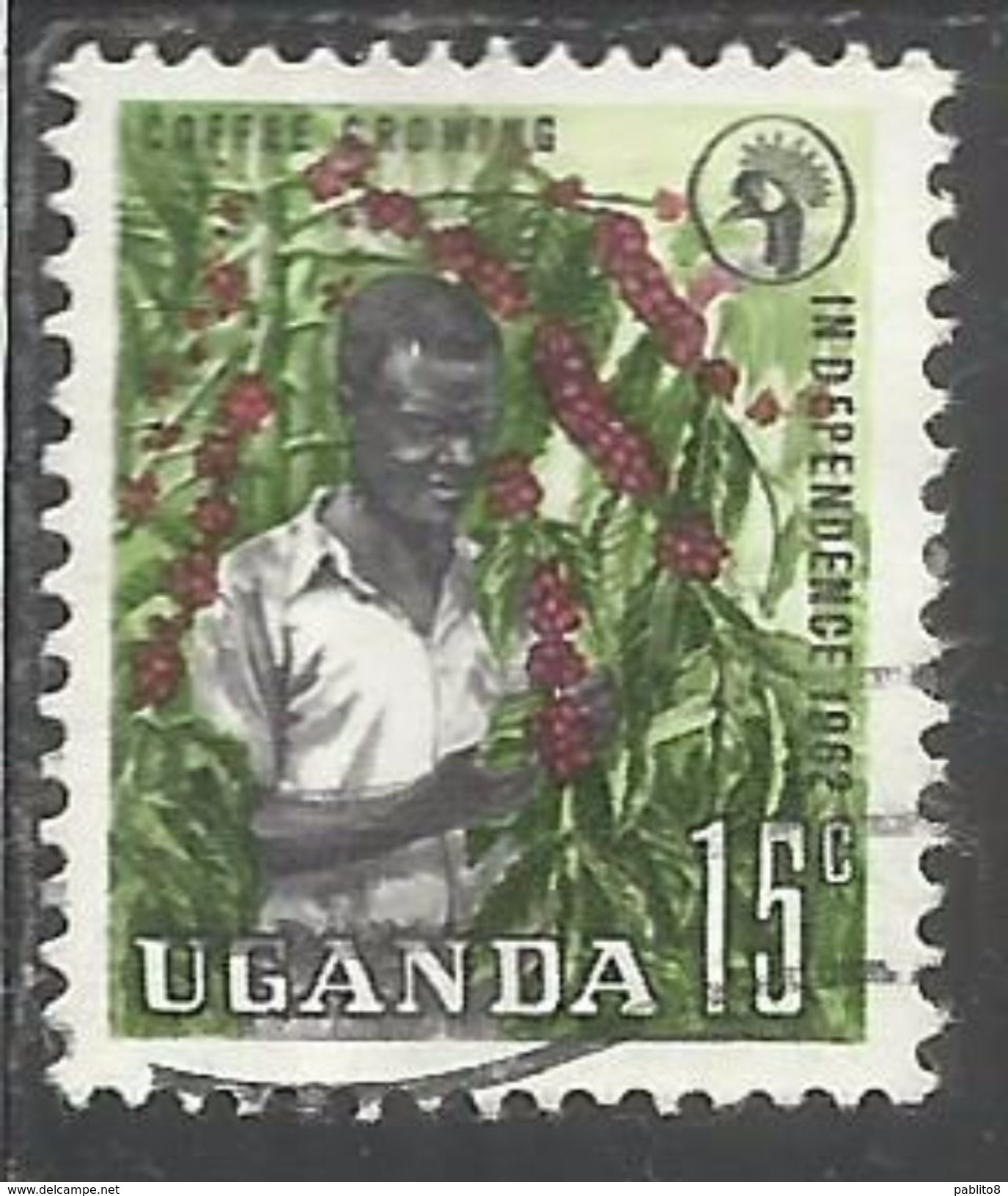 UGANDA 1962 INDEPENDENCE INDIPENDENZA INDEPENDANCE COFFEE GROWING PIANTAGIONE CAFFE' CENT 15c USATO USED OBLITERE' - Uganda (1962-...)