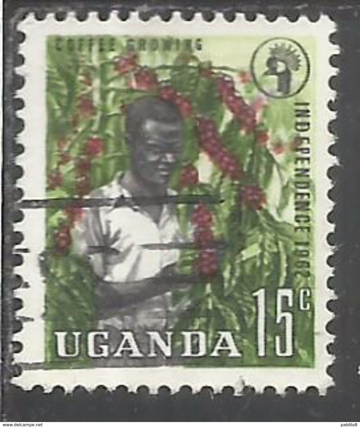 UGANDA 1962 INDEPENDENCE INDIPENDENZA INDEPENDANCE COFFEE GROWING PIANTAGIONE CAFFE' CENT 15c USATO USED OBLITERE' - Uganda (1962-...)