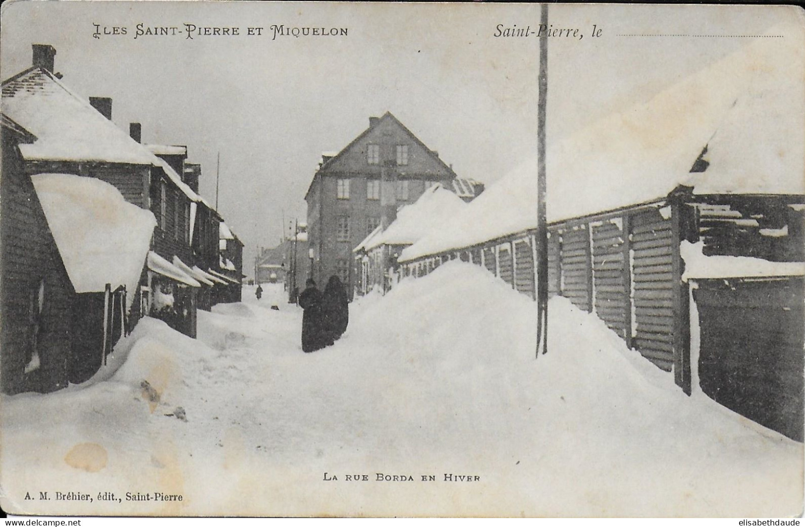 SAINT PIERRE ET MIQUELON - CARTE De La RUE BORDA En HIVER - Ed. BREHIER - TIMBREE AU DOS - Saint Pierre And Miquelon