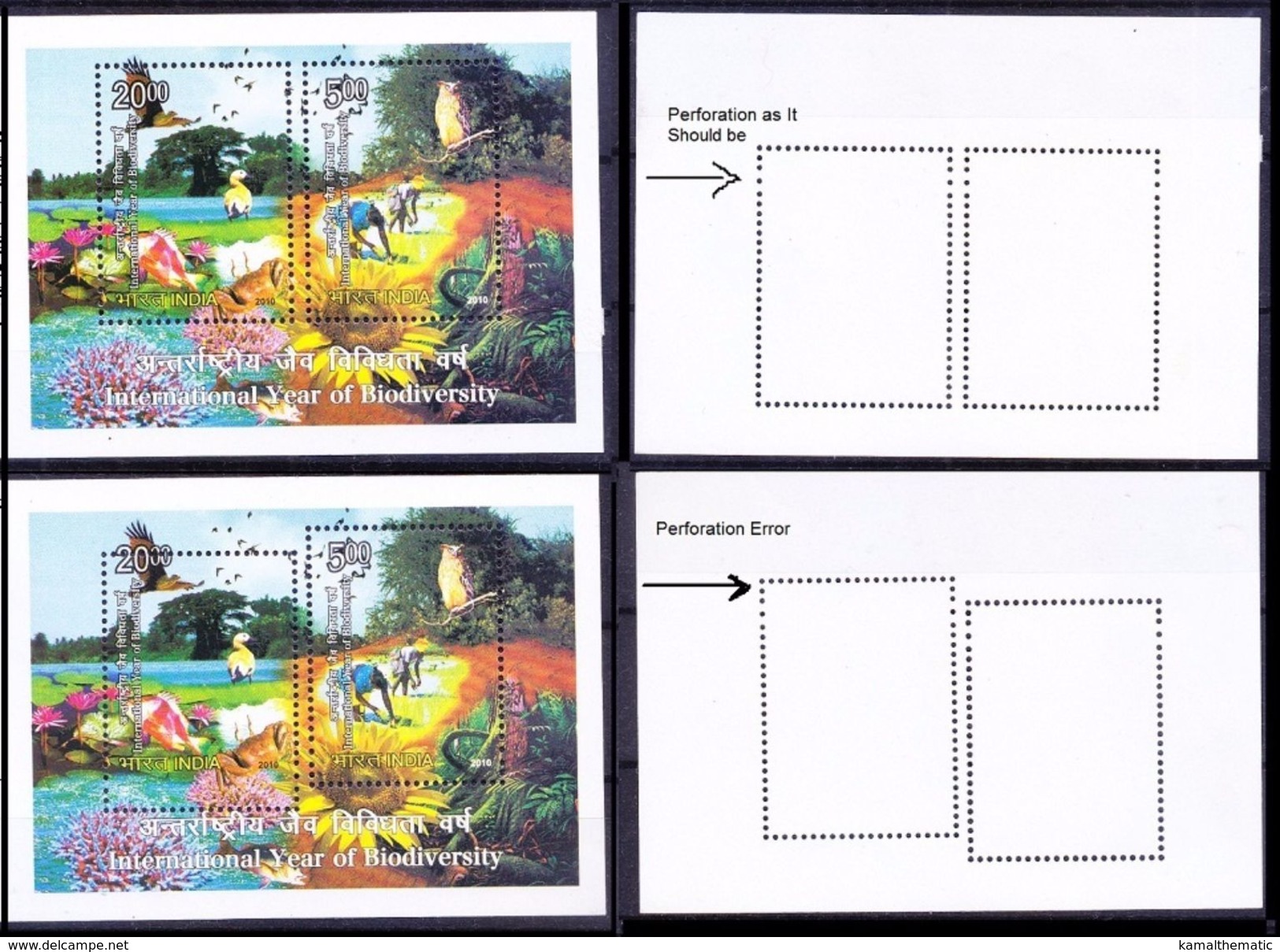 Perforation Error Without Gum, Int. Yr Of Biodiversity, Environment, India 2010 MNH SS - Protección Del Medio Ambiente Y Del Clima