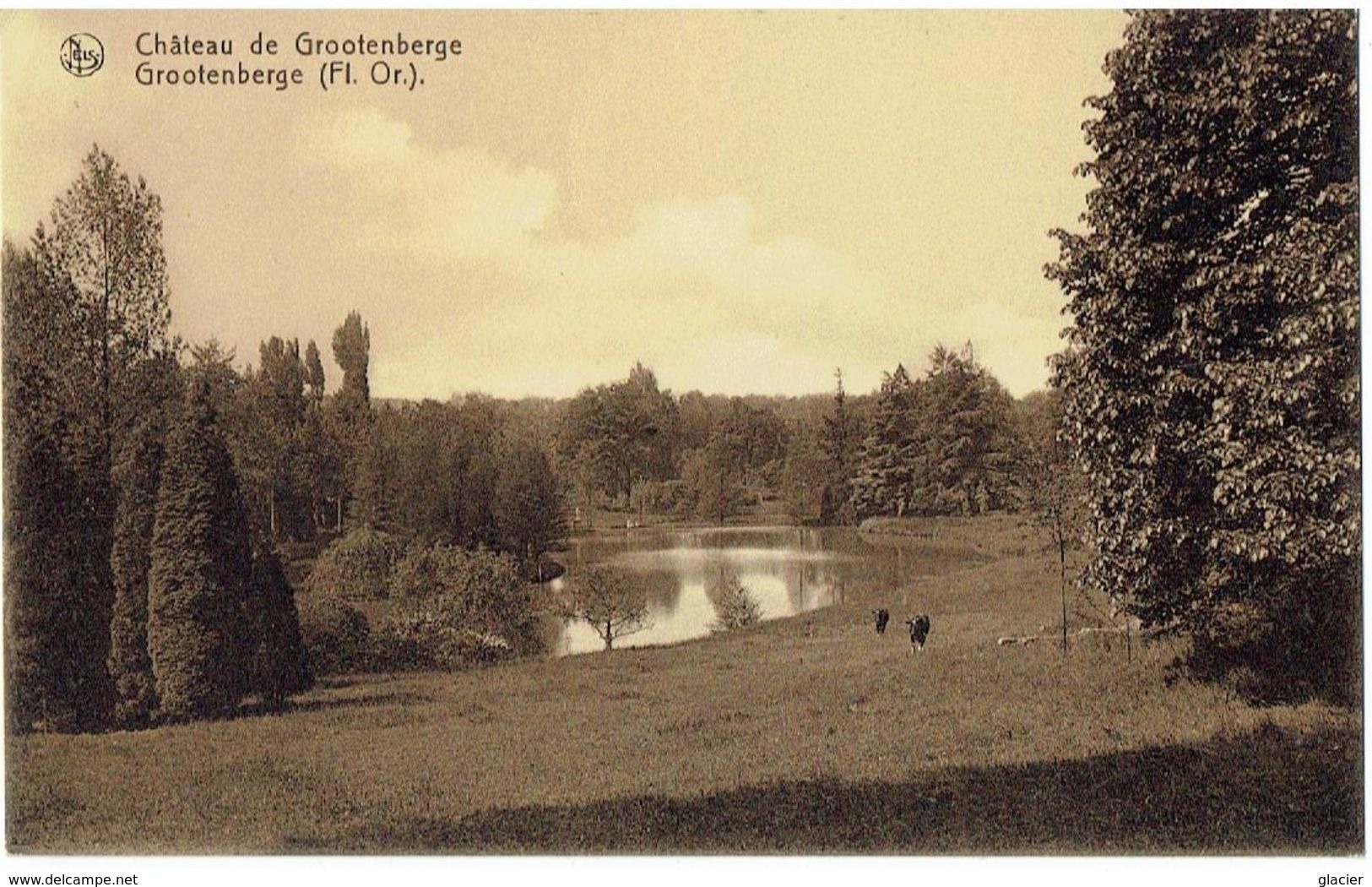 Château De GROOTENBERGE - Zottegem - Zicht Op Den Hof - Zottegem