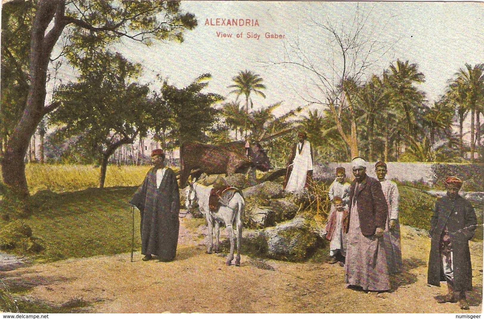 ALEXANDRIA   ---  View Of Sidy Gaber - Alexandrie