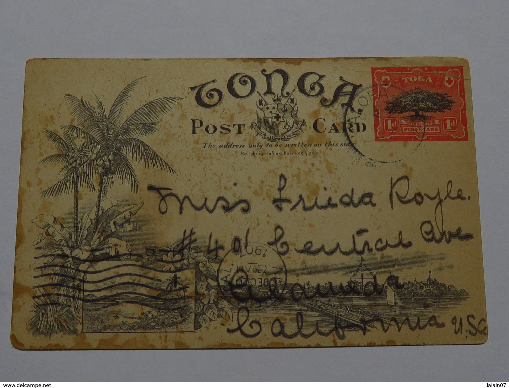 C.P.A. TONGA : The Orange Groves Of Tonga, In 1908 - Tonga