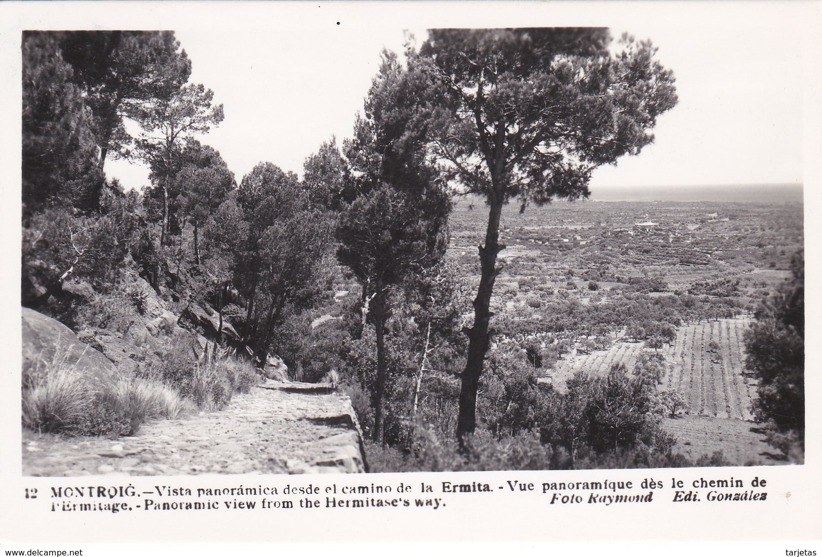 12 POSTAL DE MONTROIG DE UNA VISTA PANORAMICA DESDE EL CAMINO DE LA ERMITA DEL AÑO 1954 (FOTO RAYMOND) - Tarragona