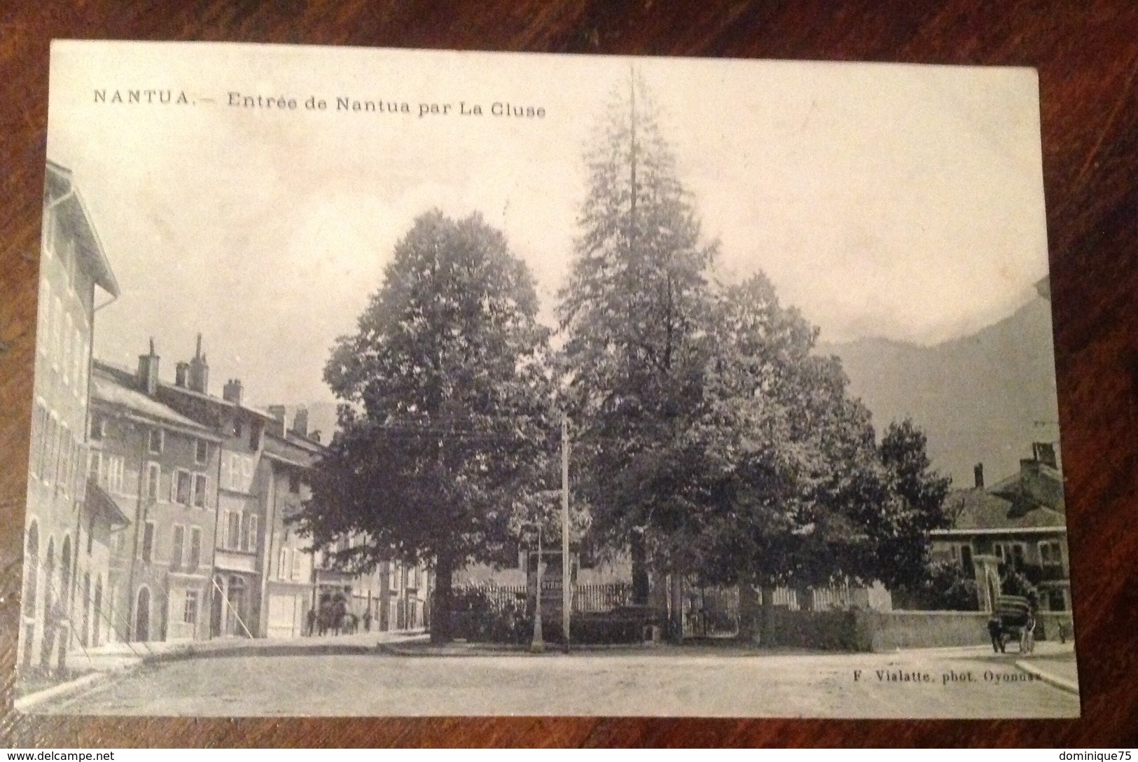 Cpa Petite Animation Nantua Rue, Entre De Nantua Par La Cluse Circulee Timbrée En 1910 - Nantua