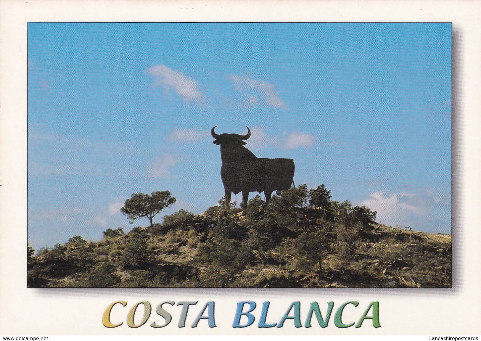 Postcard Costa Blanca  [ Bull ] My Ref B22091 - Other & Unclassified