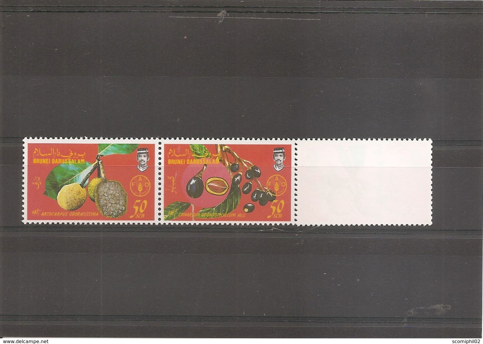 Brunei - Fruits  ( 375/378 XXX -MNH) - Brunei (1984-...)