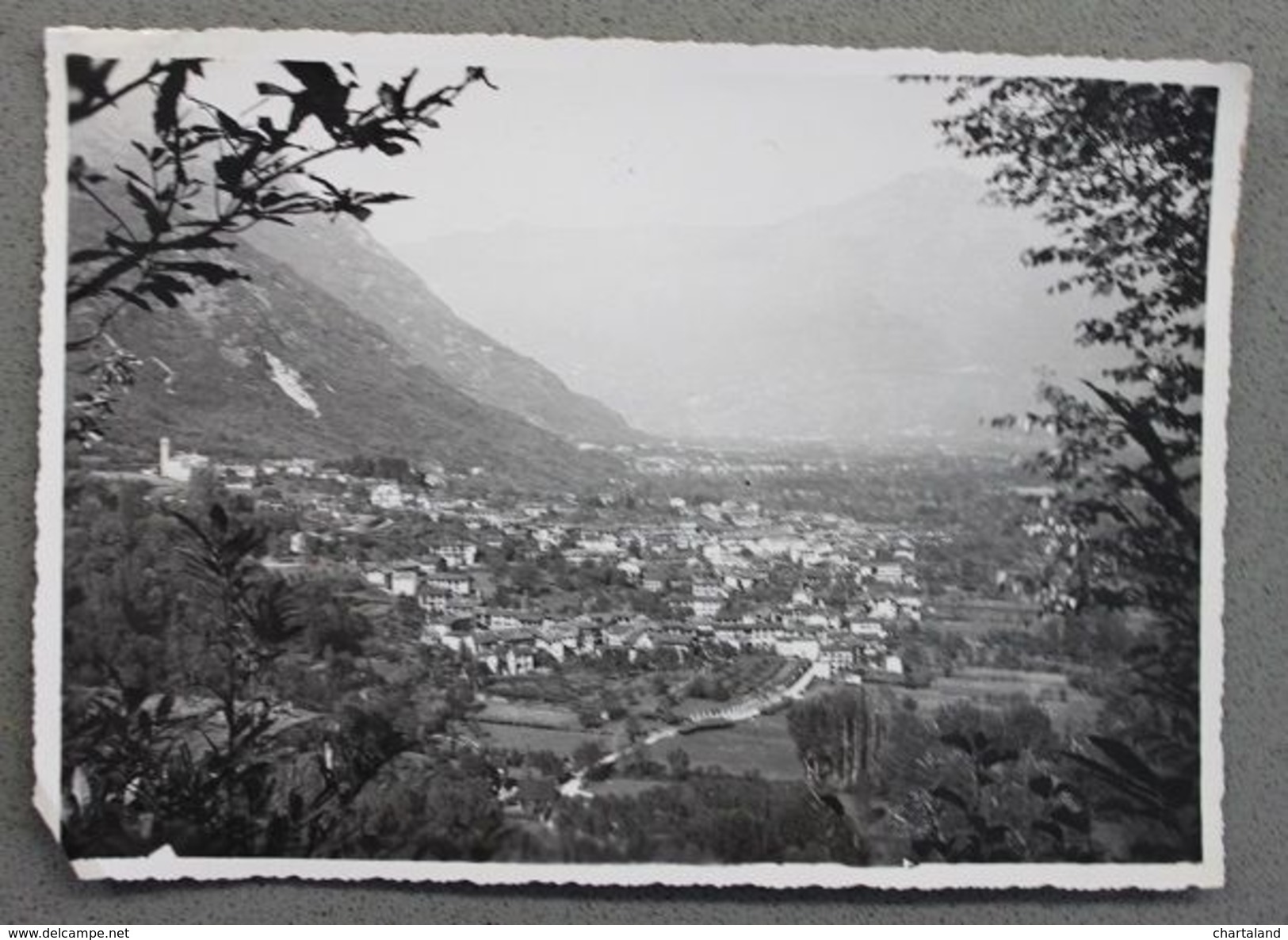 Foto D'archivio Per Cartolina Piemonte Panorama Anni '50 Ivrea - Altri & Non Classificati