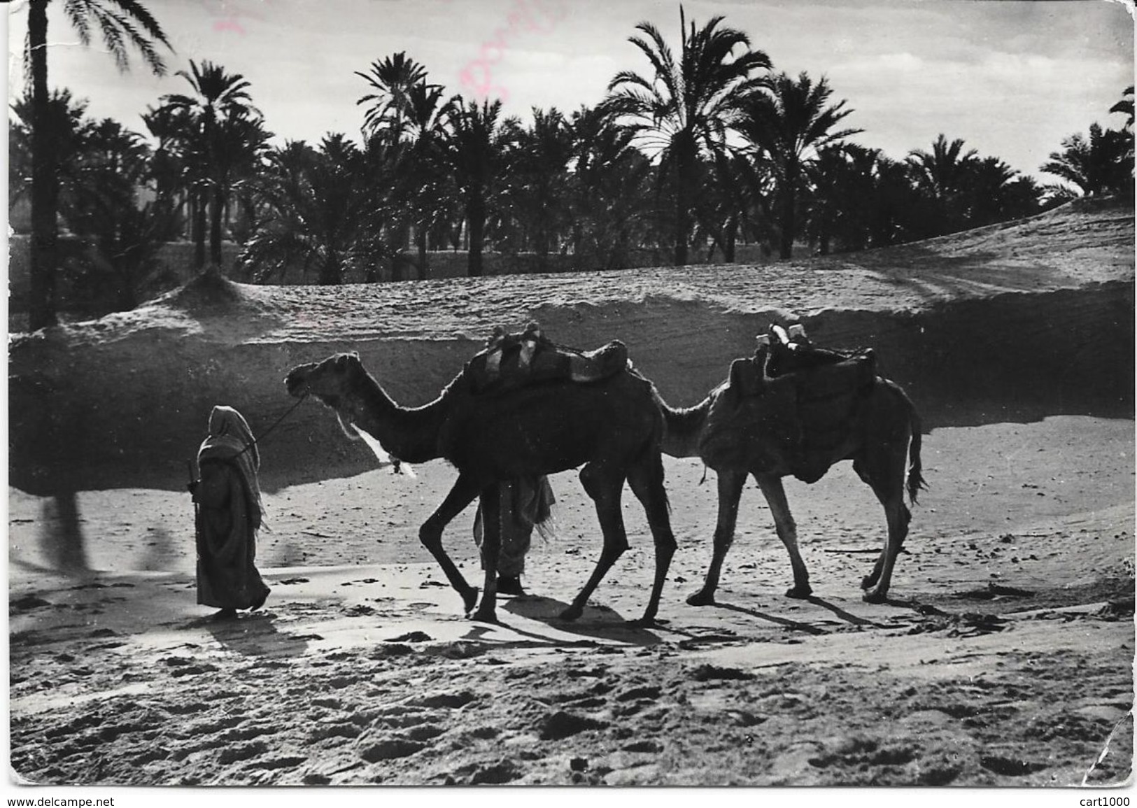 LIBIA LIBYA TRIPOLI 1952 - Libia