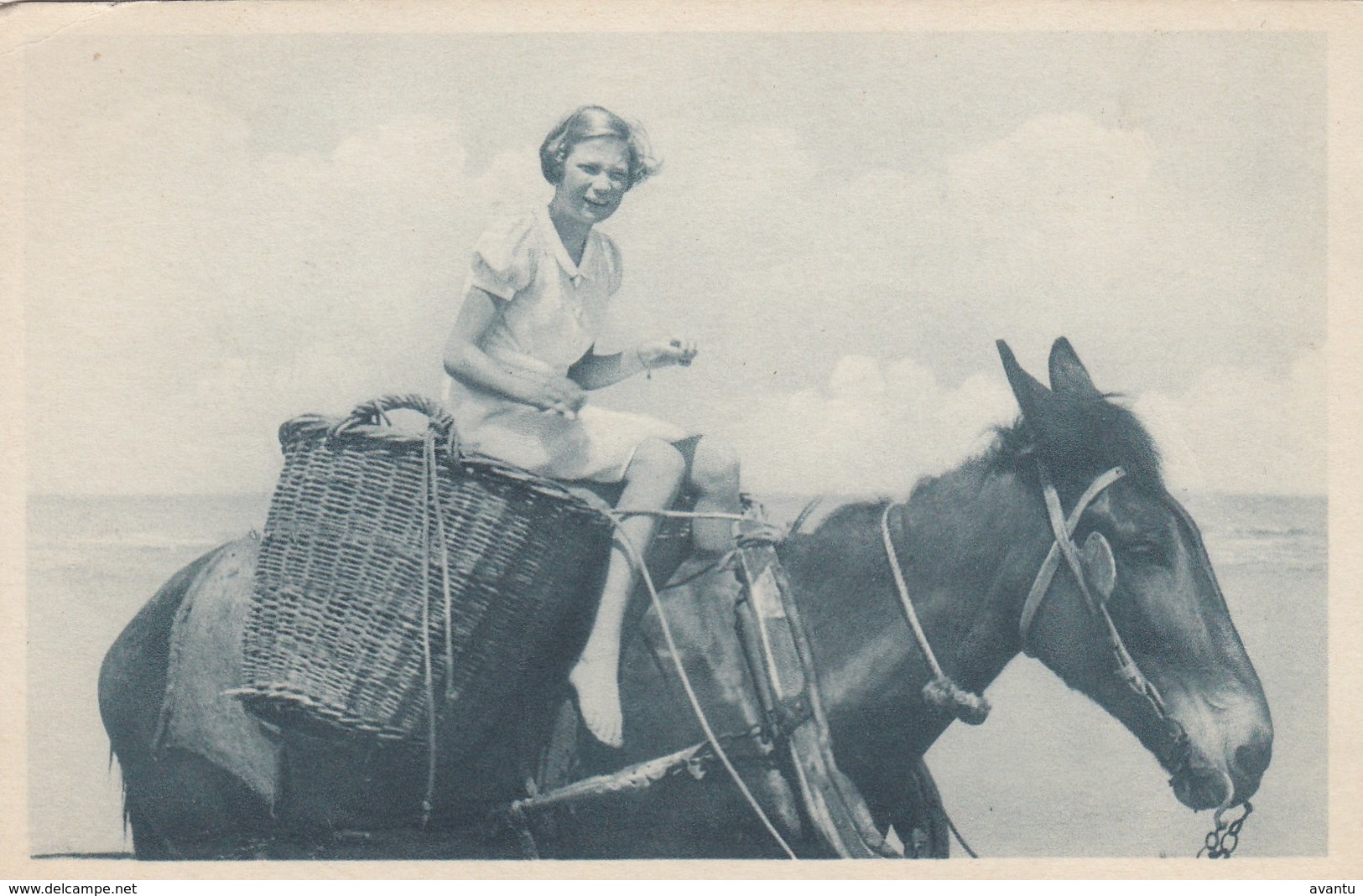 DE PANNE / PRINSES JOSEPHINE CHARLOTTE ALS PAARDENVISSER - De Panne