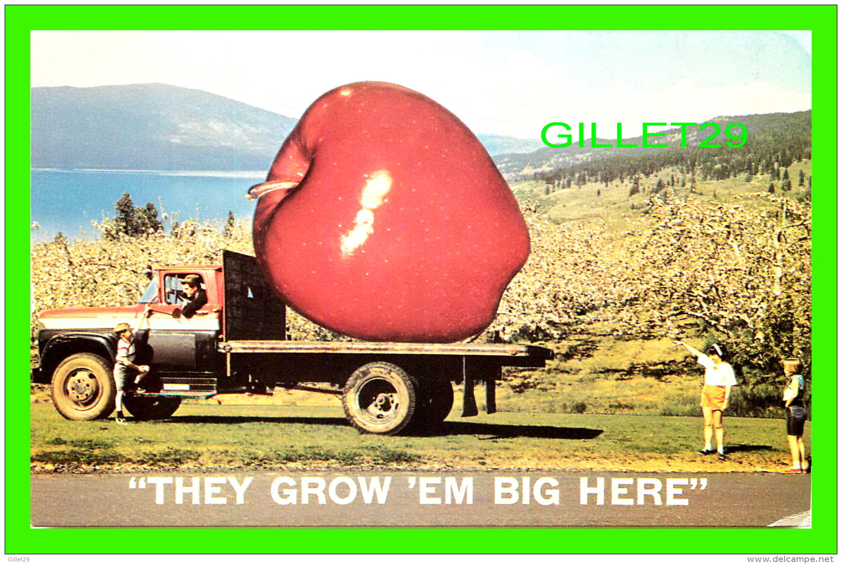 OKANAGAN VALLEY, BRITISH COLUMBIA - " THEY GROW'EM BIG HERE " APPLES  ANIMATED -  PUB. BY MONAHAN AGENCY - - Autres & Non Classés