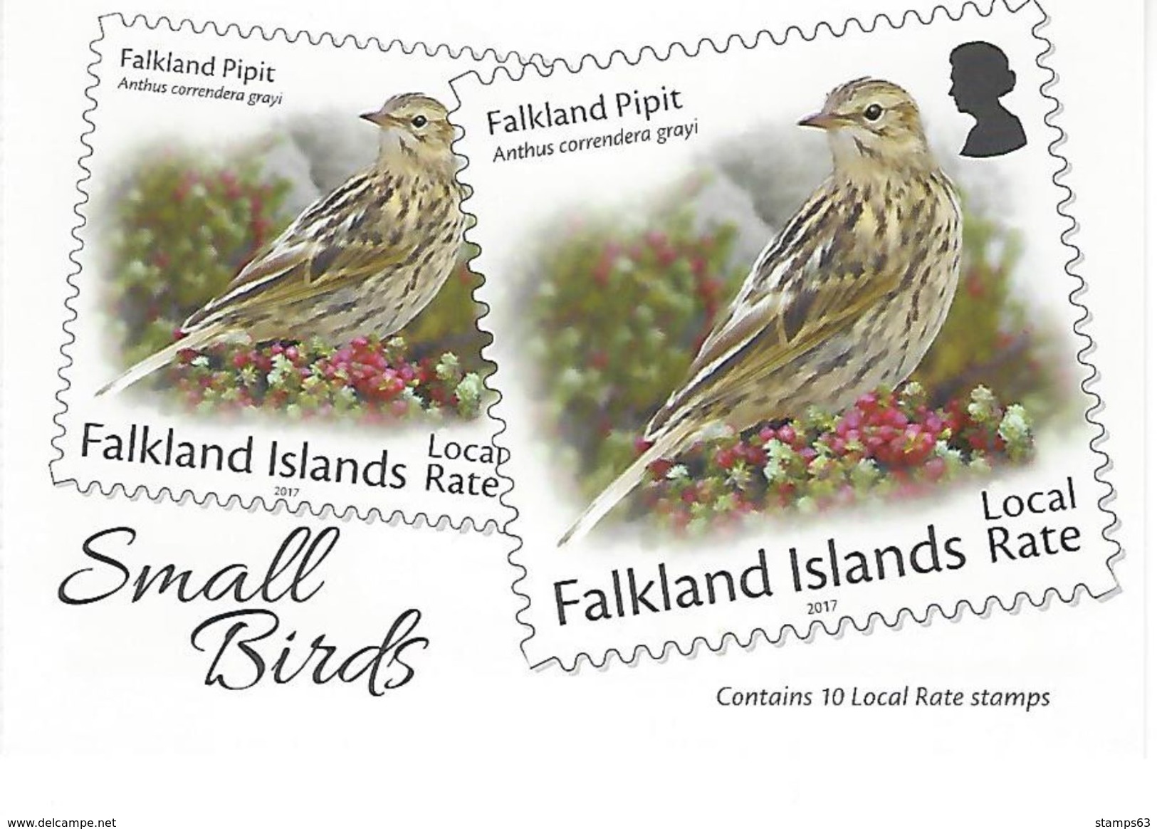 FALKLAND ISLANDS, 2017, Booklet 14, Small Birds - Falklandinseln