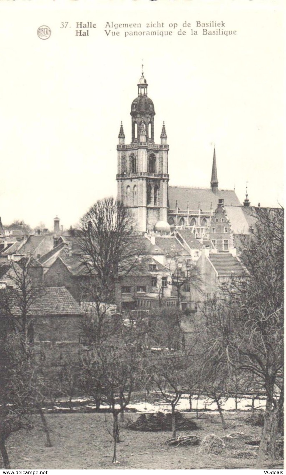 Halle - Vue Panoramique De La Basilique - Halle