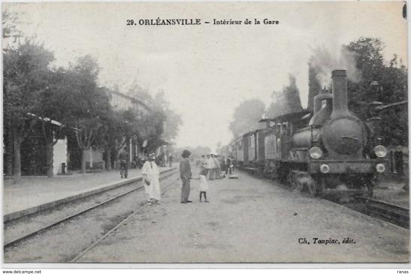 CPA Algérie Non Circulé Orléansville Train Gare Chemin De Fer - Beroepen