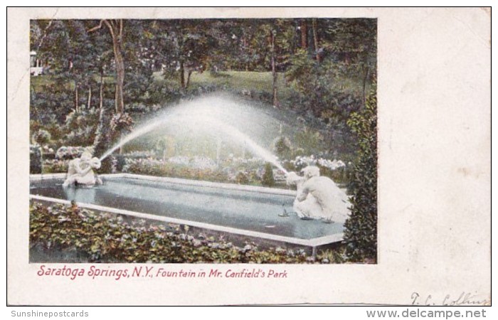 New York Saratoga Springs Fountain In Mr Canfield's Park 1907 - Saratoga Springs