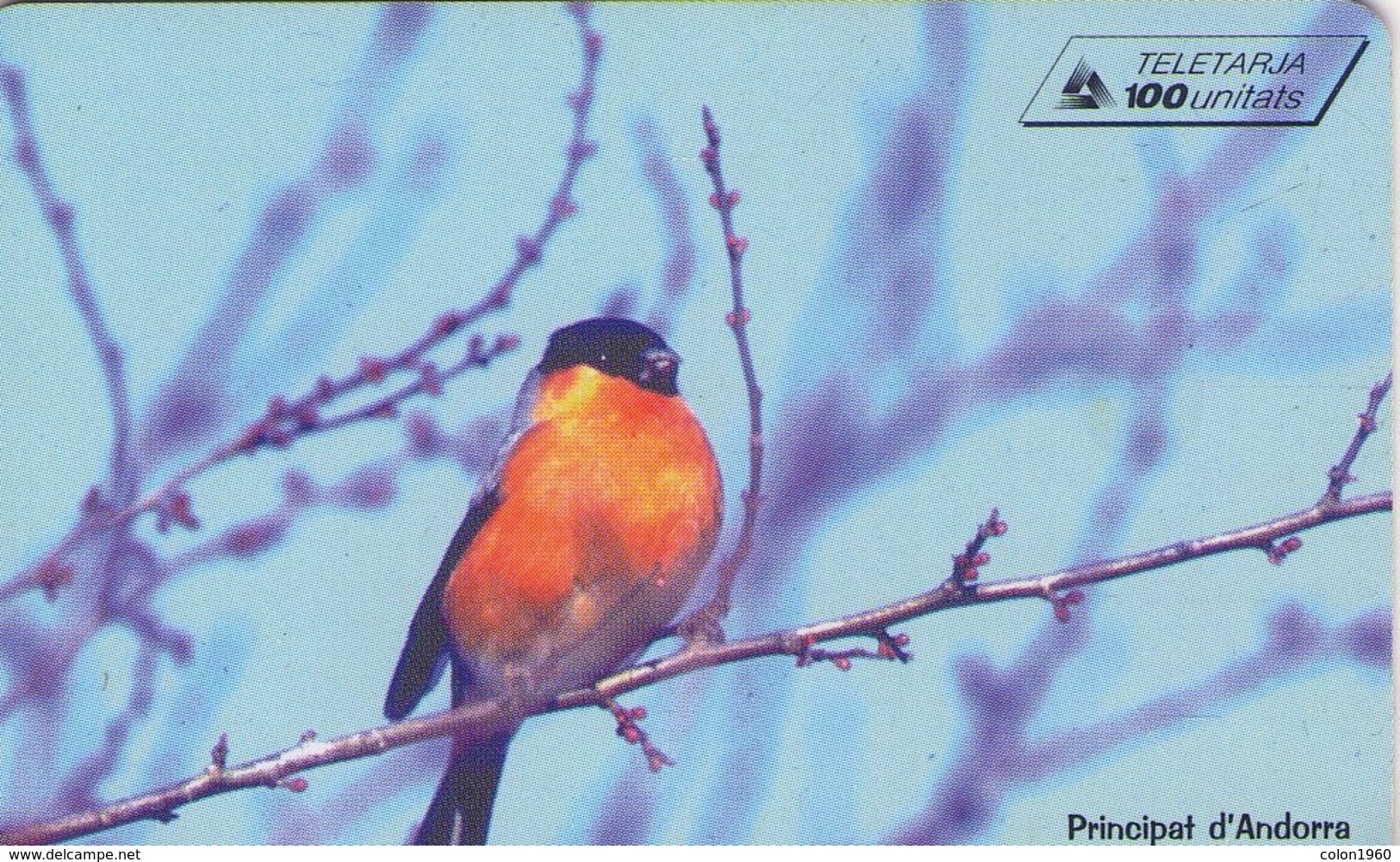 ANDORRA. AVES - BIRDS. Bullfinch. 1999-03. 20000 Ex. AD-STA-0102. (071) - Andorra