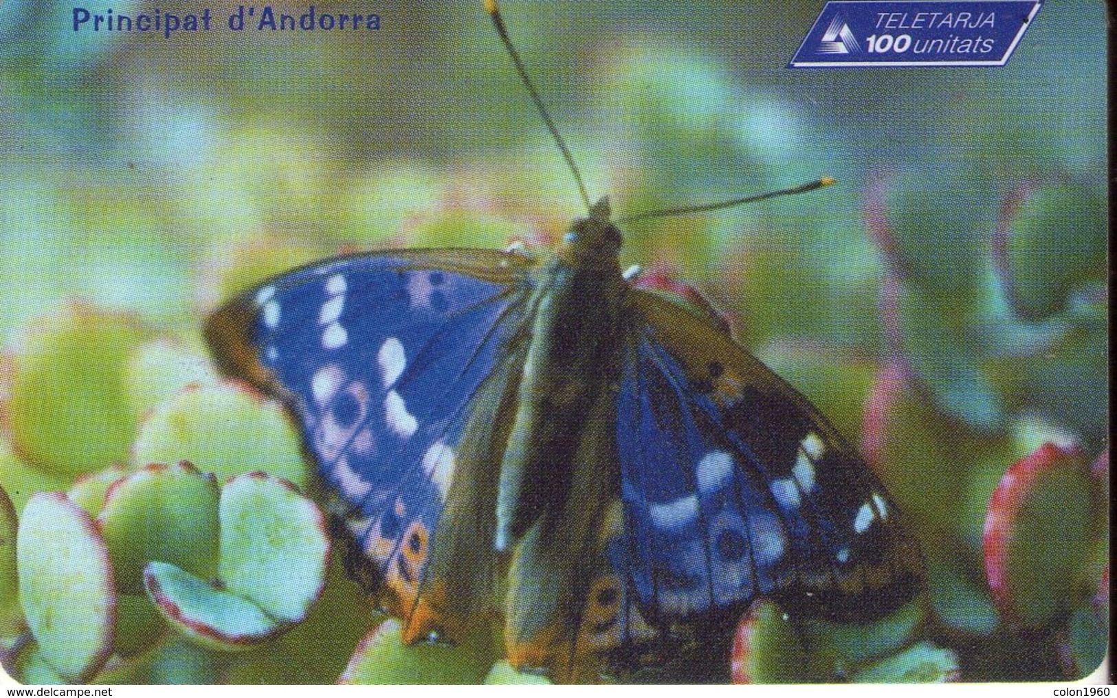 ANDORRA. AD-STA-0106. MARIPOSA - BUTTERFLY. Papallona (Apatura Iris). 1999-07. 20000 Ex. (074) - Andorra