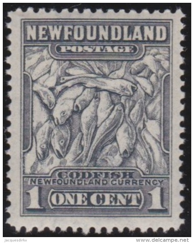 Newfoundland        .   SG   .      222        .      **      . Postfris     .   /   .  MNH - 1908-1947