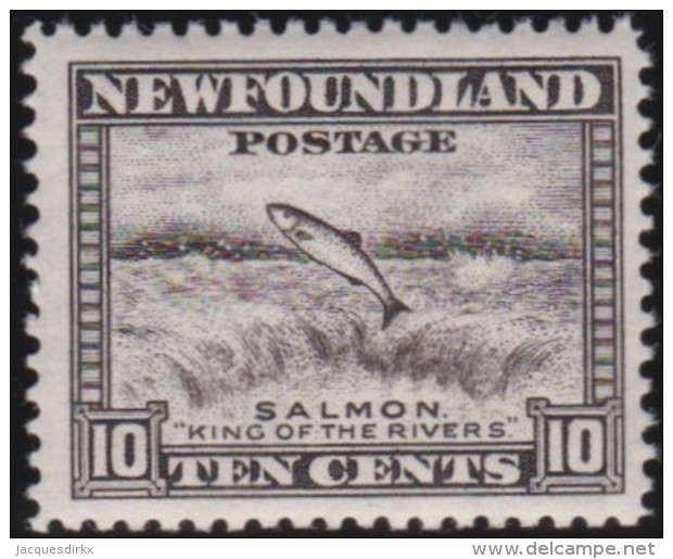 Newfoundland        .   SG   .     215          .      **      . Postfris     .   /   .  MNH - 1908-1947