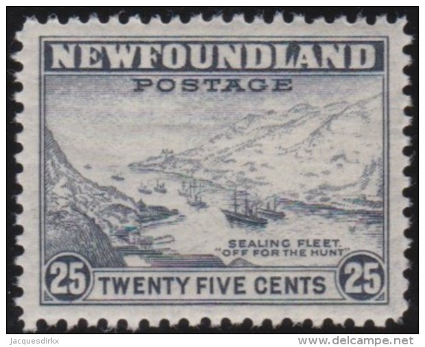 Newfoundland        .   SG   .     219            .      **      . Postfris     .   /   .  MNH - 1908-1947