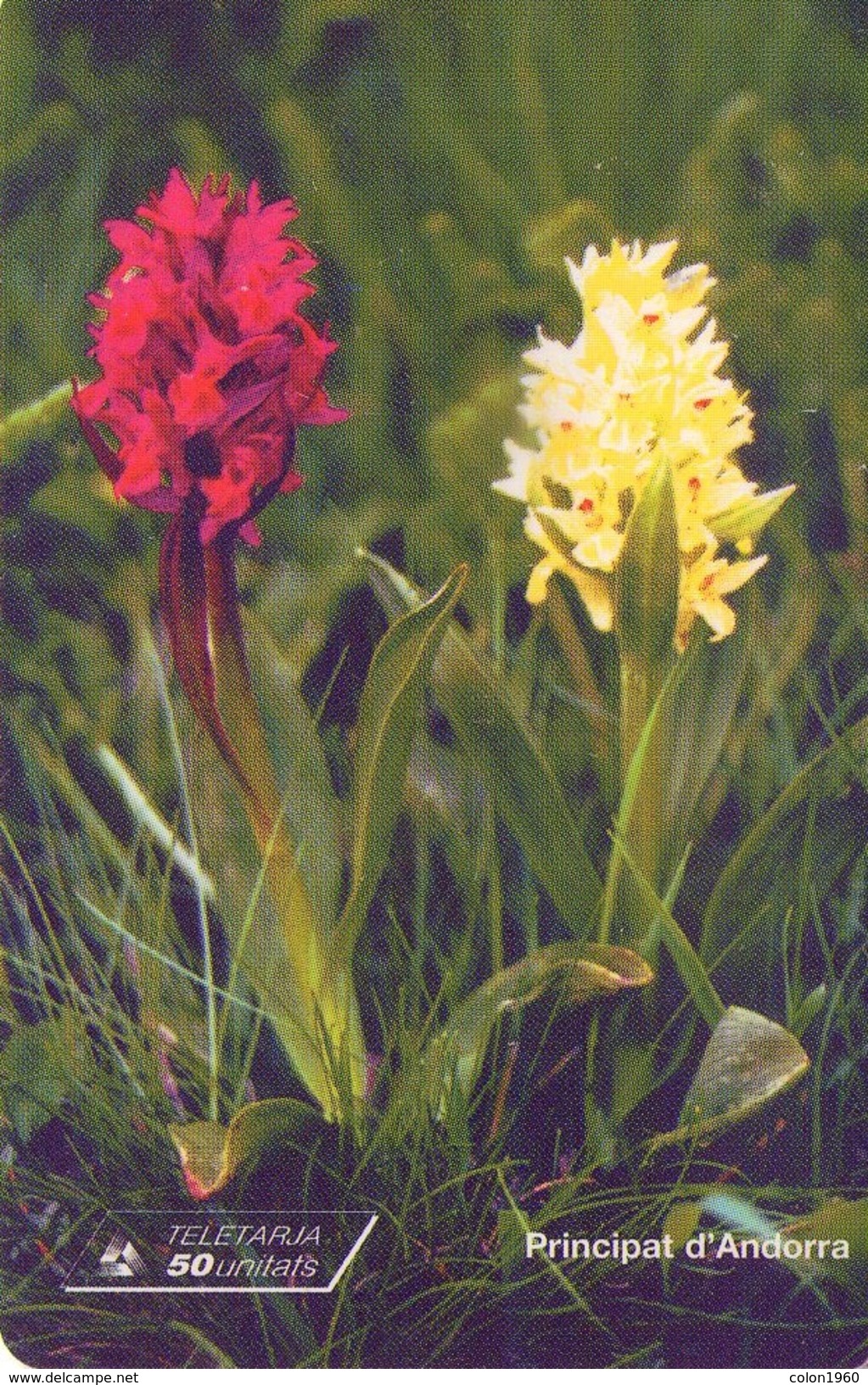 ANDORRA. Orchid - ORQUIDEA. 1999-02. 20000 Ex. AD-STA-0101. (089) - Andorra