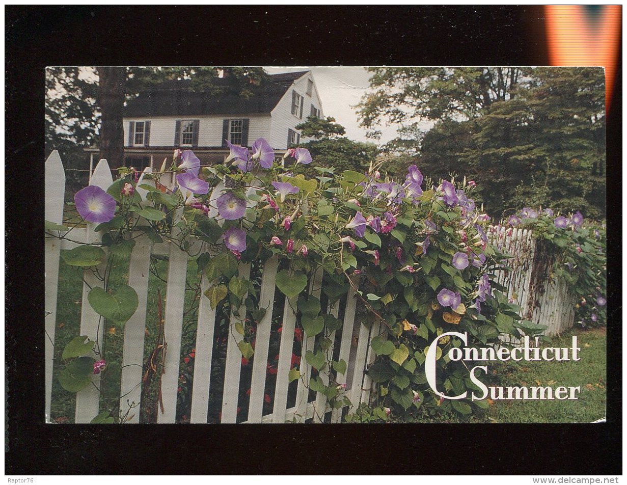 CPM Etats Unis Connecticut Summer Morning Glory Tumbling Over A Picket Fence In Front Of A White Clapboard House - Autres & Non Classés