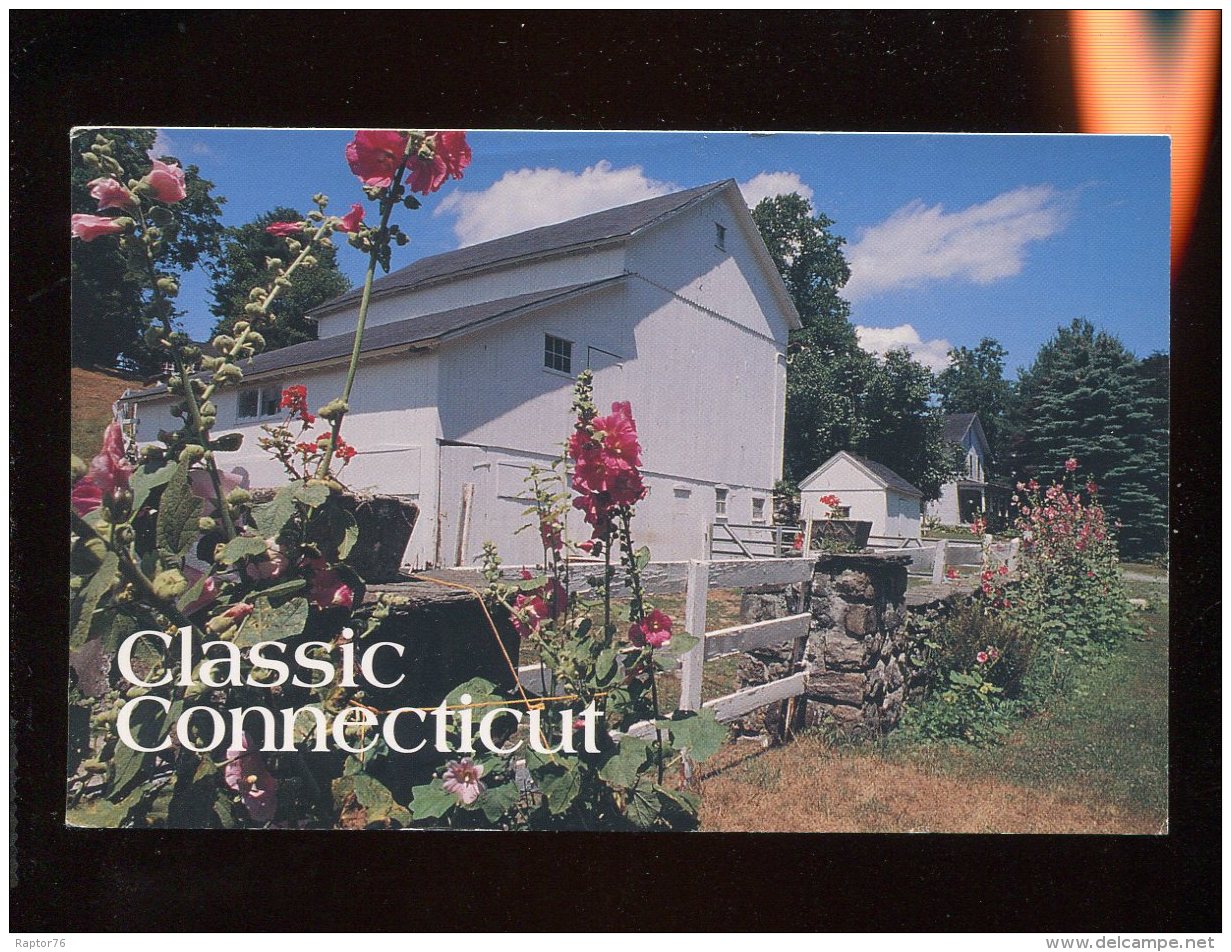 CPM Etats Unis Connecticut Classic Summer Hollyhocks Blooming By A Sunwashed White Connecticut Barn - Autres & Non Classés