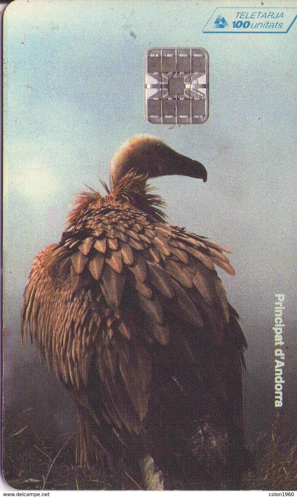 ANDORRA. FAUNA. BUITRE. Vultúrids - Voltor (Gyps Fulvus). 1996-04. 15000 Ex. AD-STA-0047. (028) - Andorra