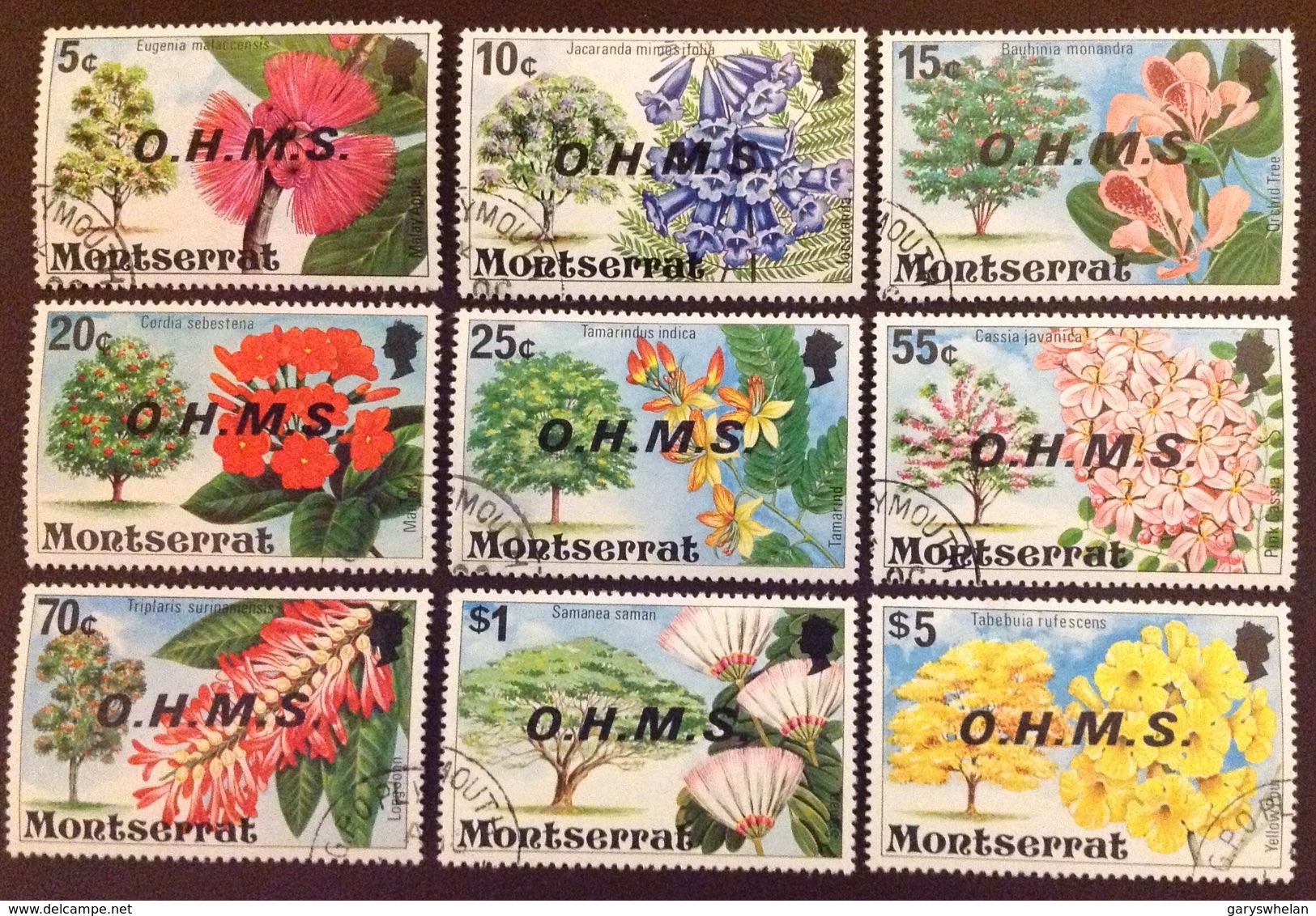 Montserrat 1976 Officials Flowers Set Fine Used - Altri & Non Classificati