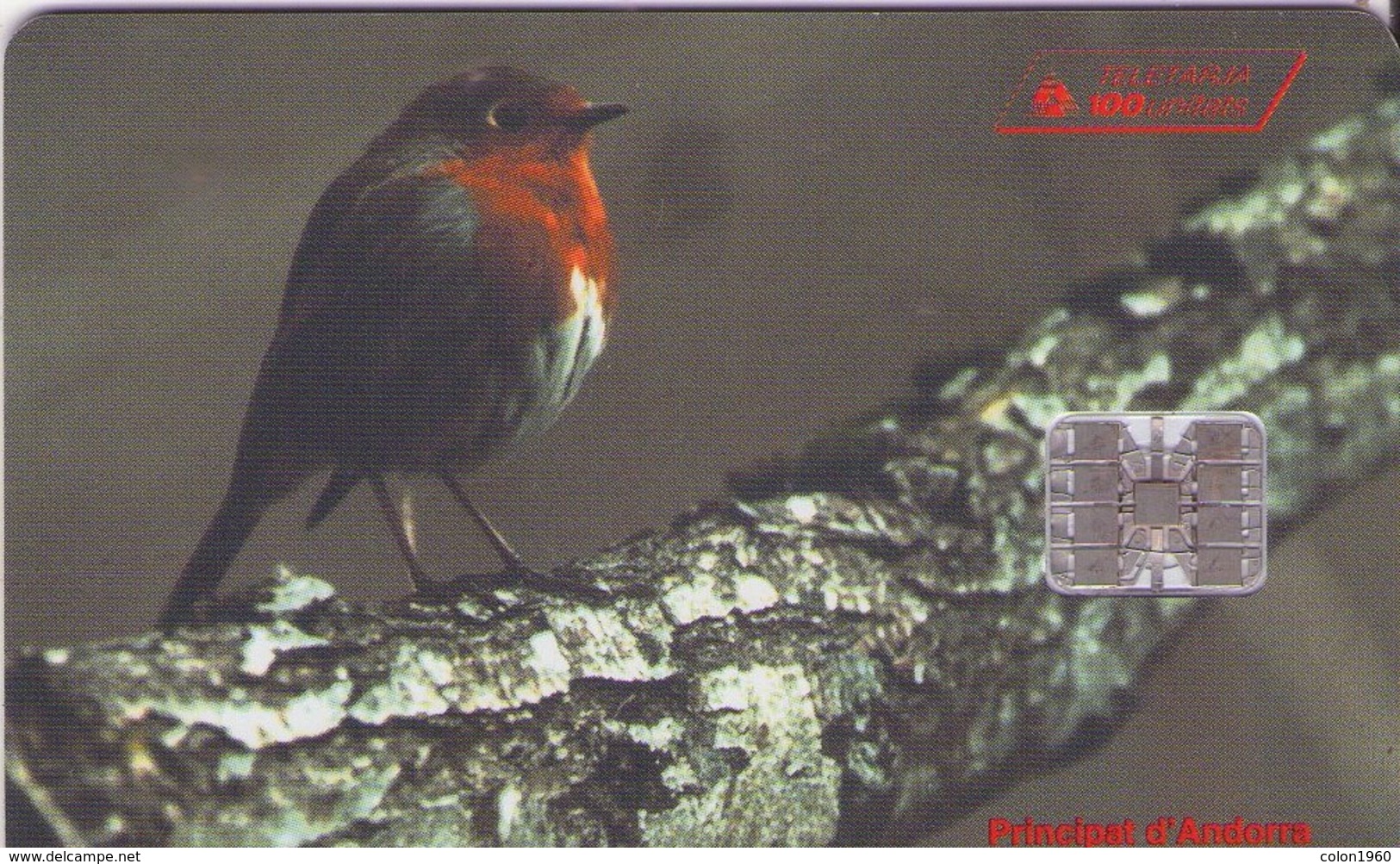 ANDORRA. BIRD. Túrdids - Pit Roig (Erithacus Rubecula). 1996-06. 15000 Ex. AD-STA-0053. (029) - Andorre