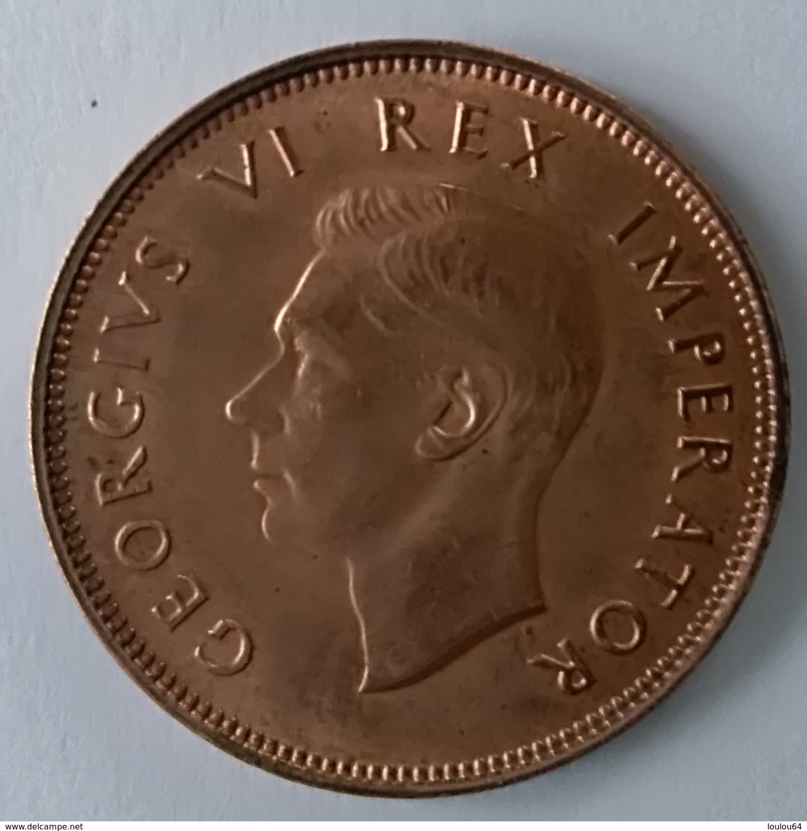 1/2 Penny -1945 - South Africa - Suid Afrika - Georges VI - - Afrique Du Sud