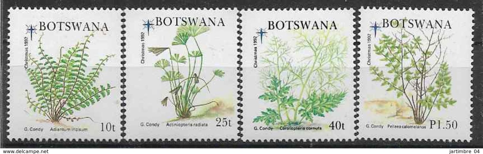 1992 BOTSWANA 687-90** Flore, Fougères - Botswana (1966-...)