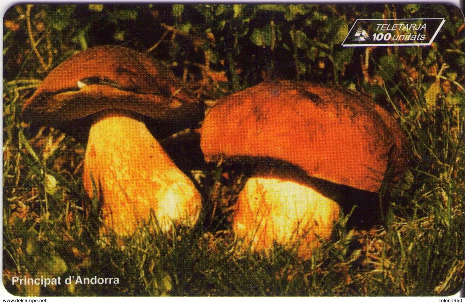 ANDORRA. Setas - CHAMPIGNONS - FUNGHI. Mushrooms - Ceps. 1996-10. 10000 Ex. AD-STA-0061. (049) - Andorra