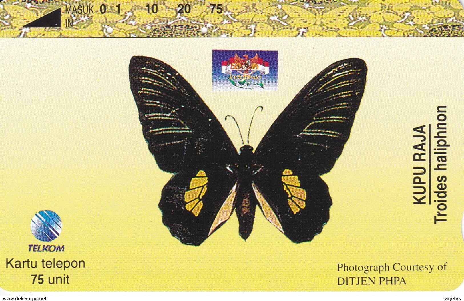 TARJETA DE INDONESIA DE UNA MARIPOSA (BUTTERFLY) - Indonesië