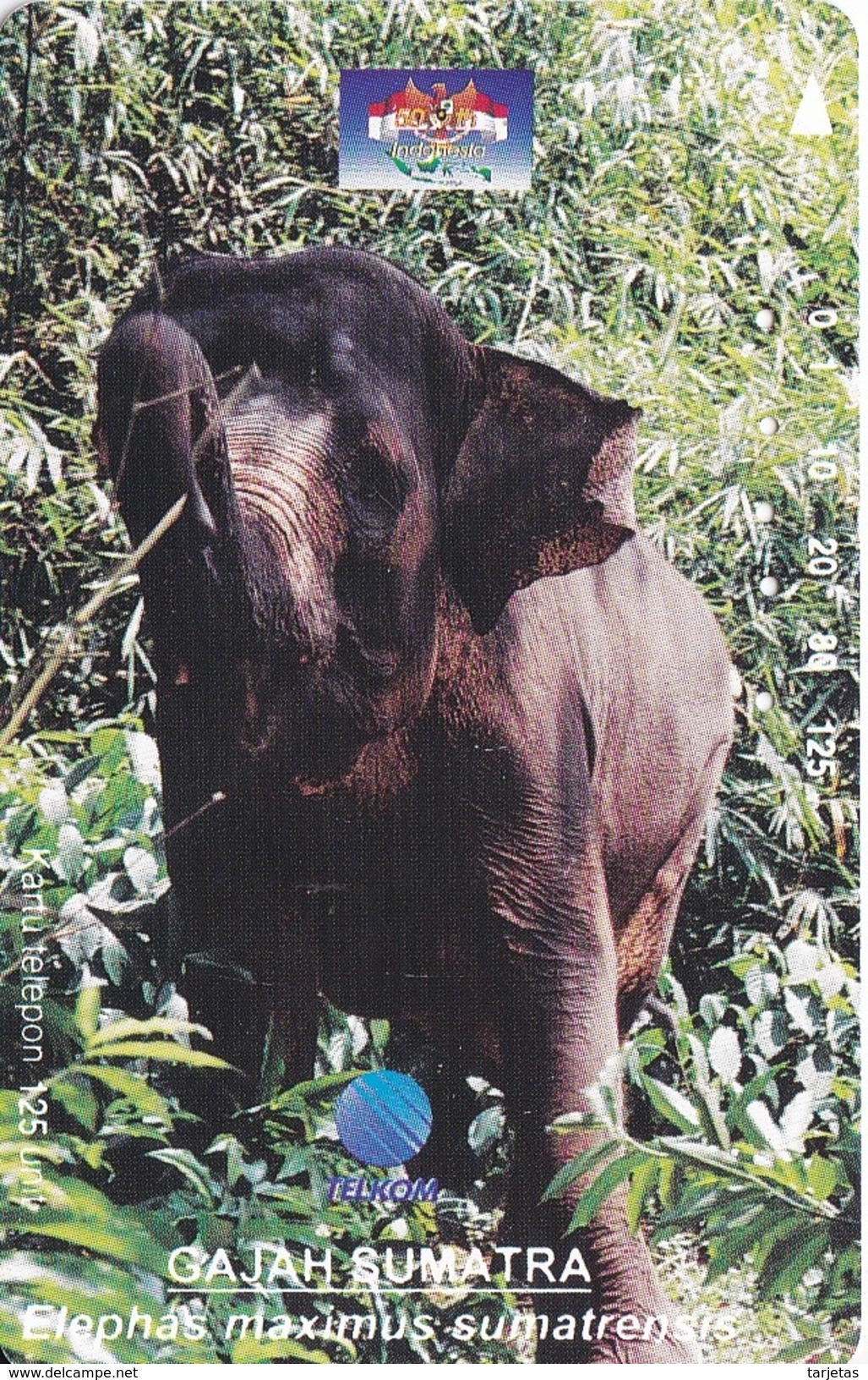 TARJETA DE INDONESIA DE UN ELEFANTE (ELEPHANT) - Indonesia