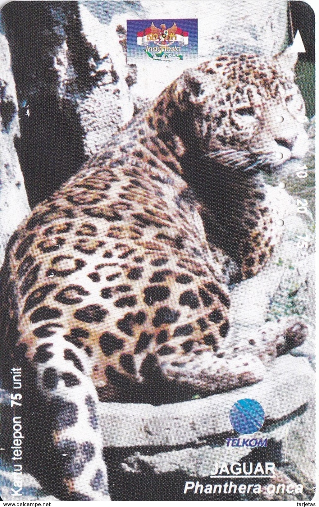 TARJETA DE INDONESIA DE UN JAGUAR (PHANTER) - Indonésie