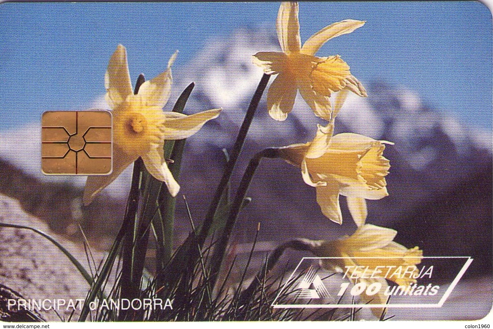 ANDORRA. FLOWER. Narcissus. 1995-06. 20000 Ex. AD-STA-0027B. (043) - Andorra