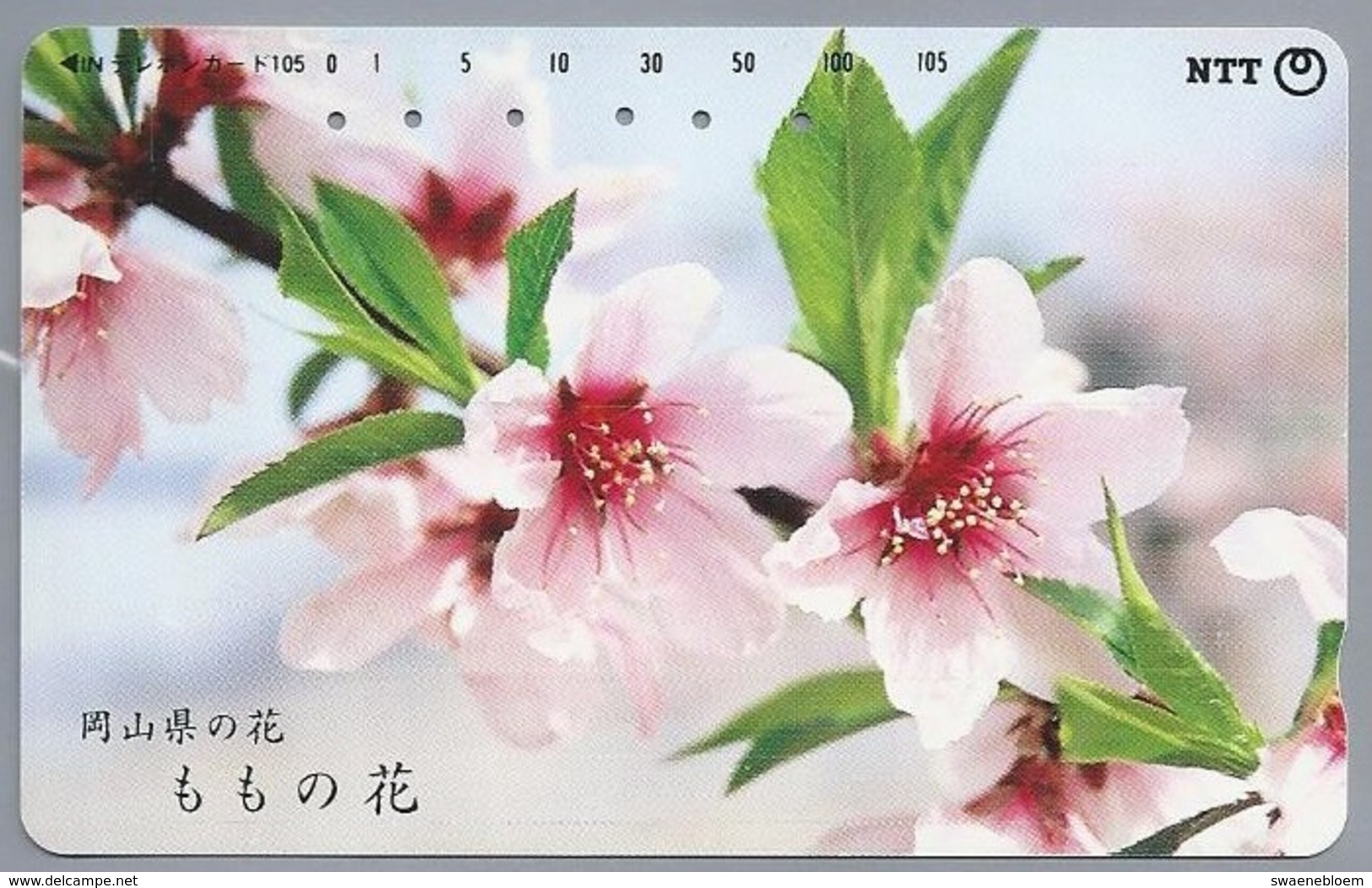 JP.- Japan, Telefoonkaart. Telecarte Japon. - Bloemen