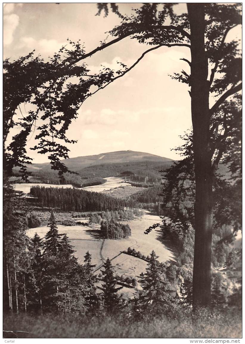 CPM - Blick Zum Auersberg (Erzgeb.) - Auersberg