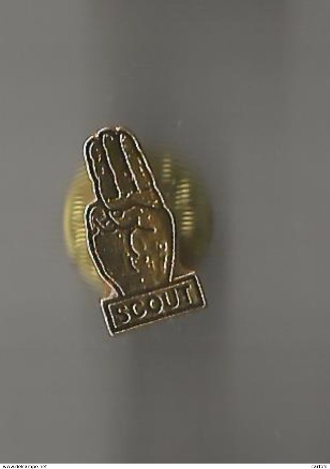 Pin's Scout - Associations