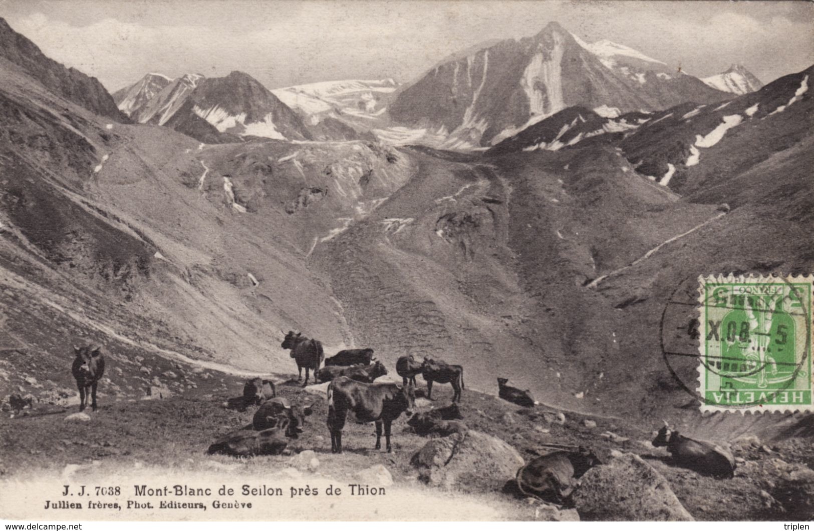 Mont-Blanc De Seilon Près De Thion - Autres & Non Classés