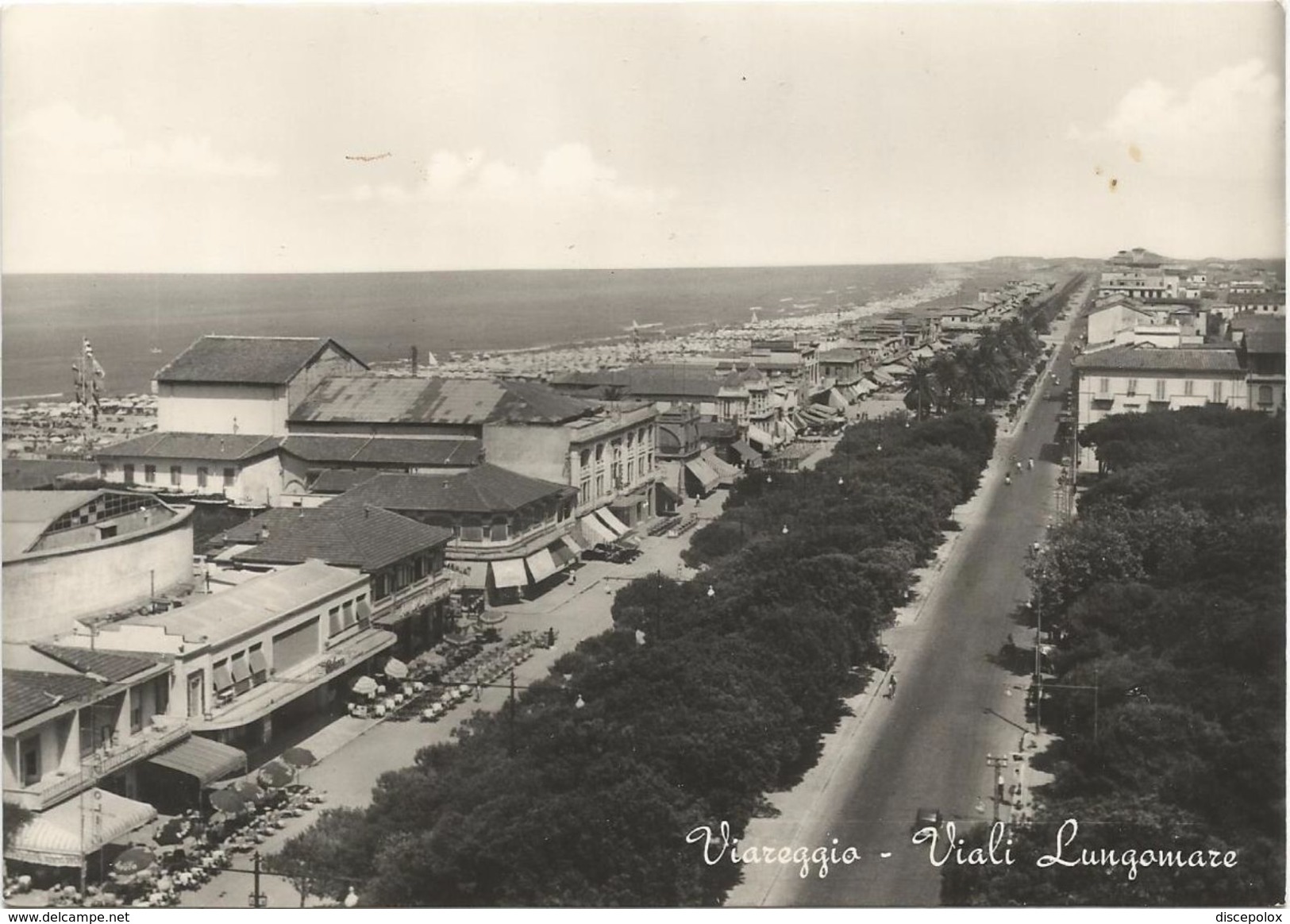 X1040 Viareggio (Lucca) - Viali Lungomare - Panorama / Non Viaggiata - Viareggio