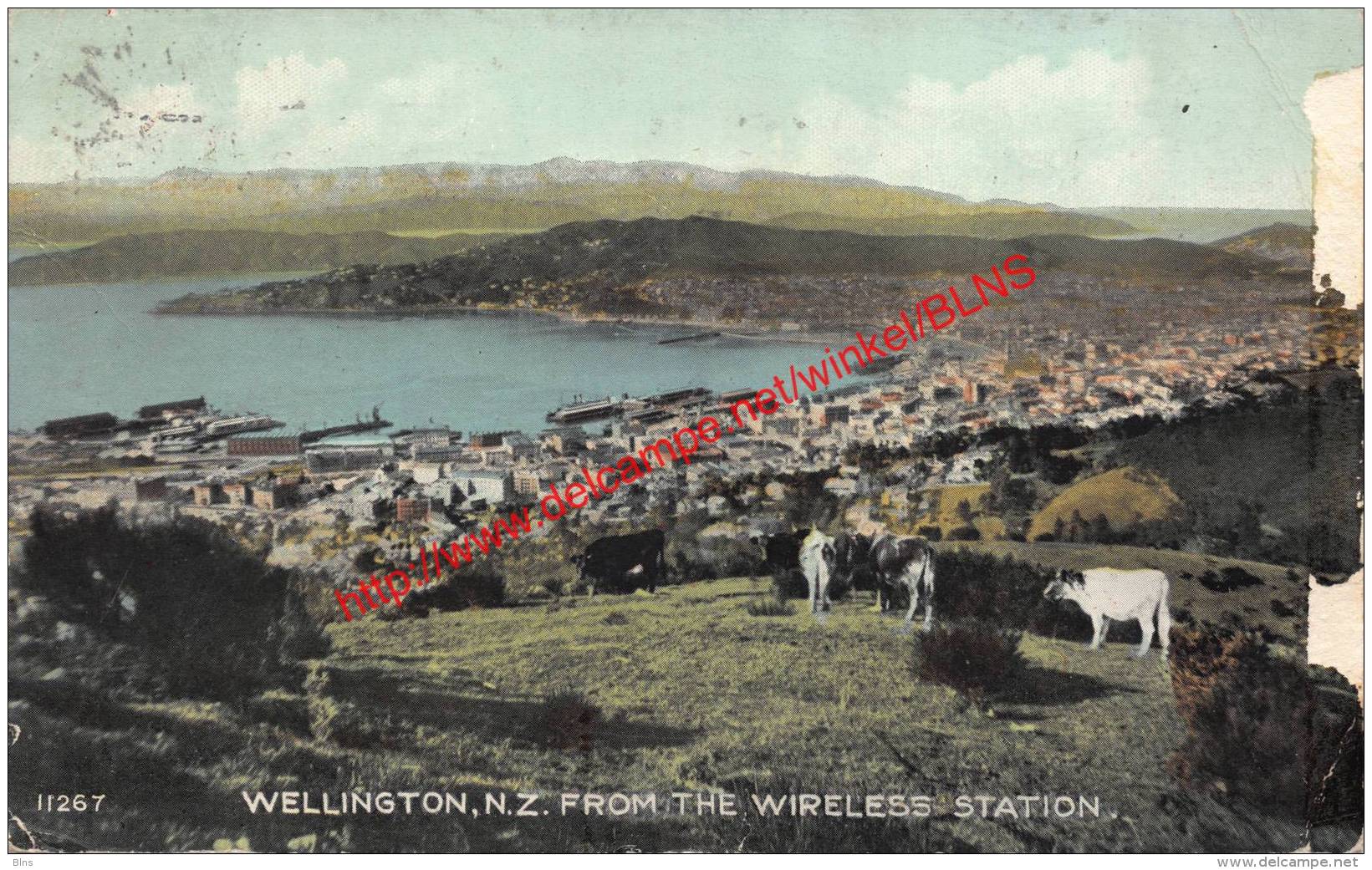 Wellington - From The Wireless Station - Nouvelle-Zélande