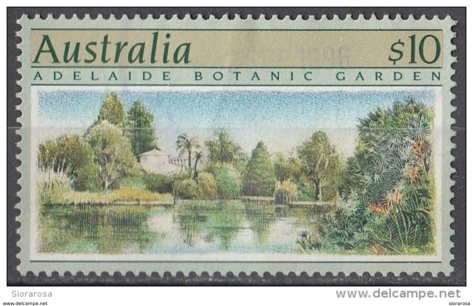 1134 Australia 1989 Giardino Botanico - Palm House, Adelaide - Botanical Gardens - Vegetazione