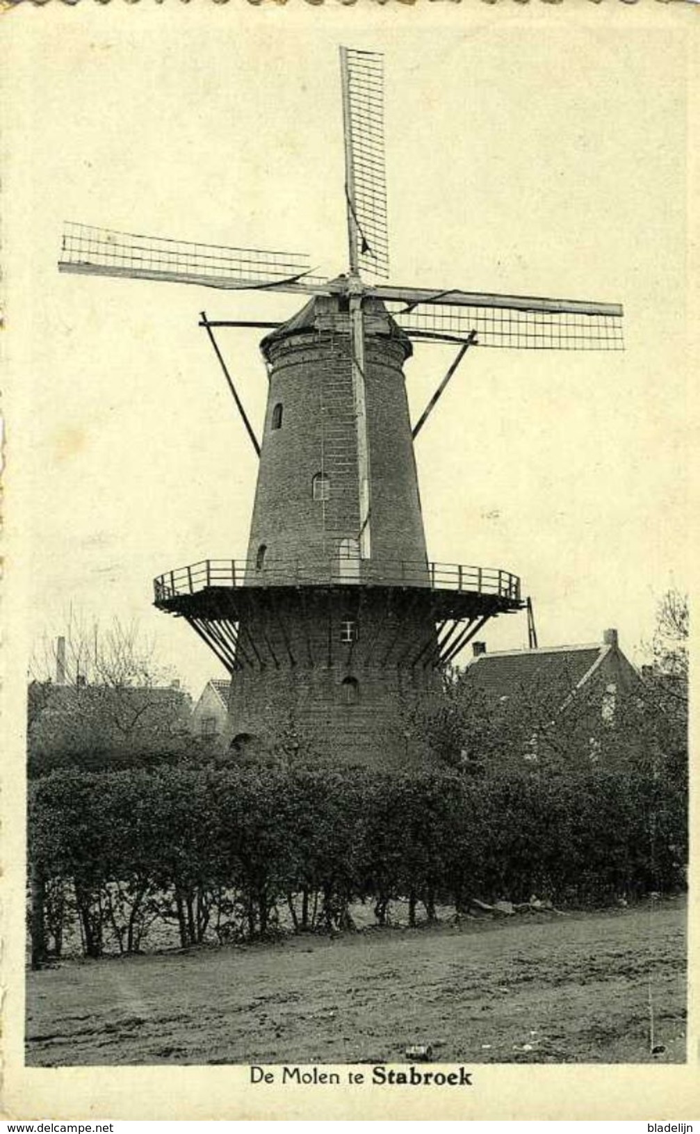 STABROEK (Antw.) - Molen/moulin - Oude Prentkaart Van De Stenen Molen Vóór 1940 (nu Nog Romp) - Stabroek