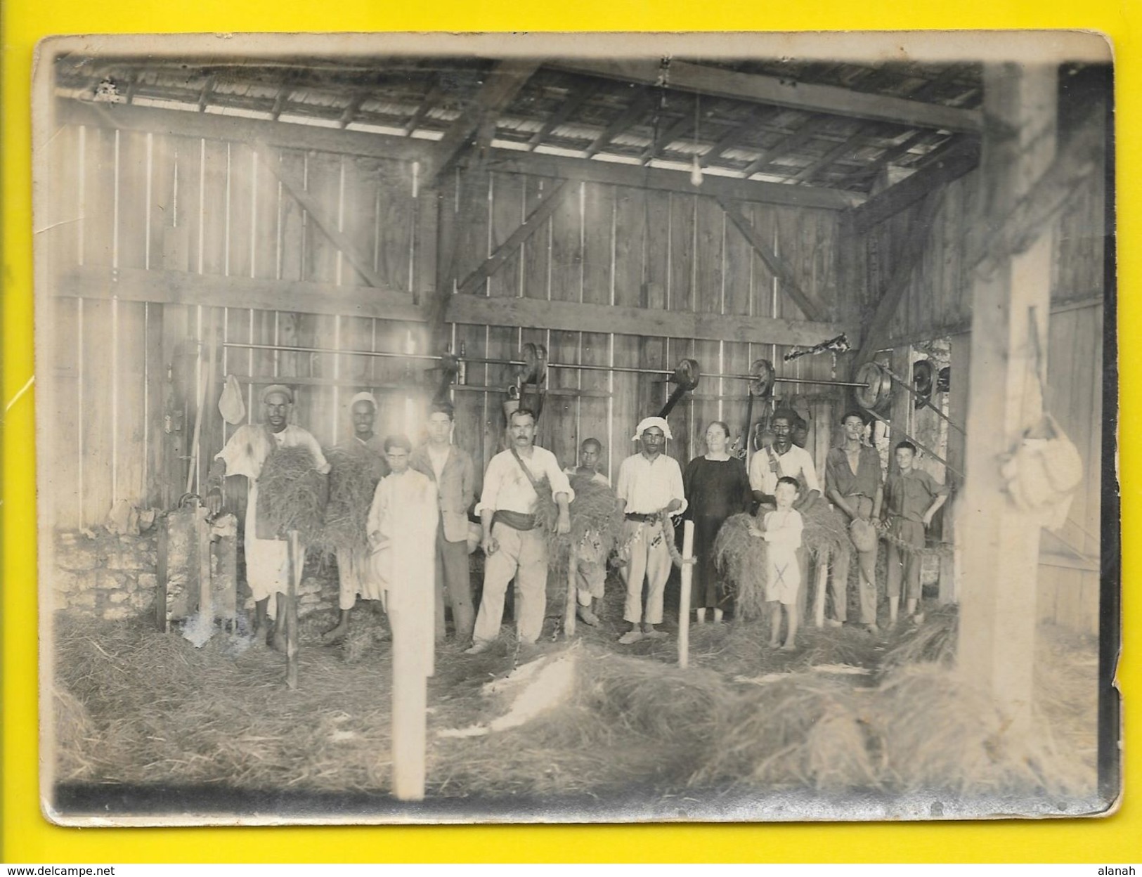 Photo D'une Usine De Crin à ORAN En Algérie Années 30 - Afrique