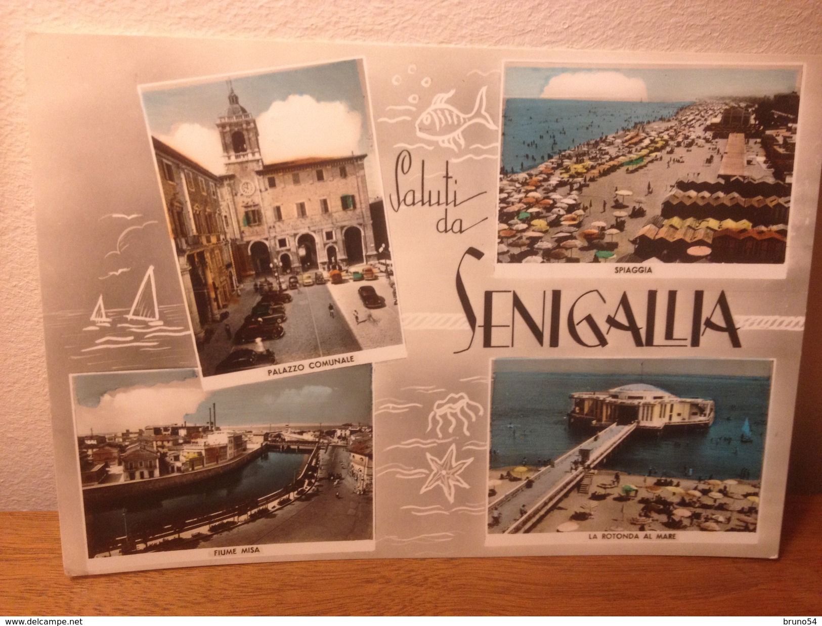 Cartolina  Saluti Da Senigallia Ancona Vedutine,rotonda Al Mare,spiaggia,fiume Misa Viaggiata 1962 Stella Di Mare - Senigallia
