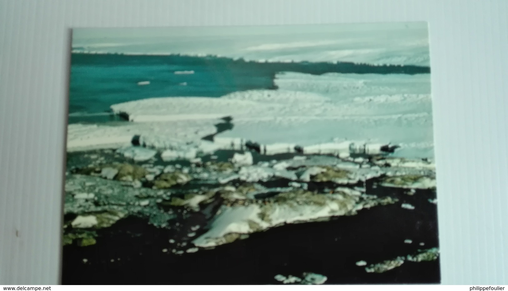 Carte Postale Couleur TAAF Pointe Géologie Glacier Astrolabe - TAAF : Terres Australes Antarctiques Françaises