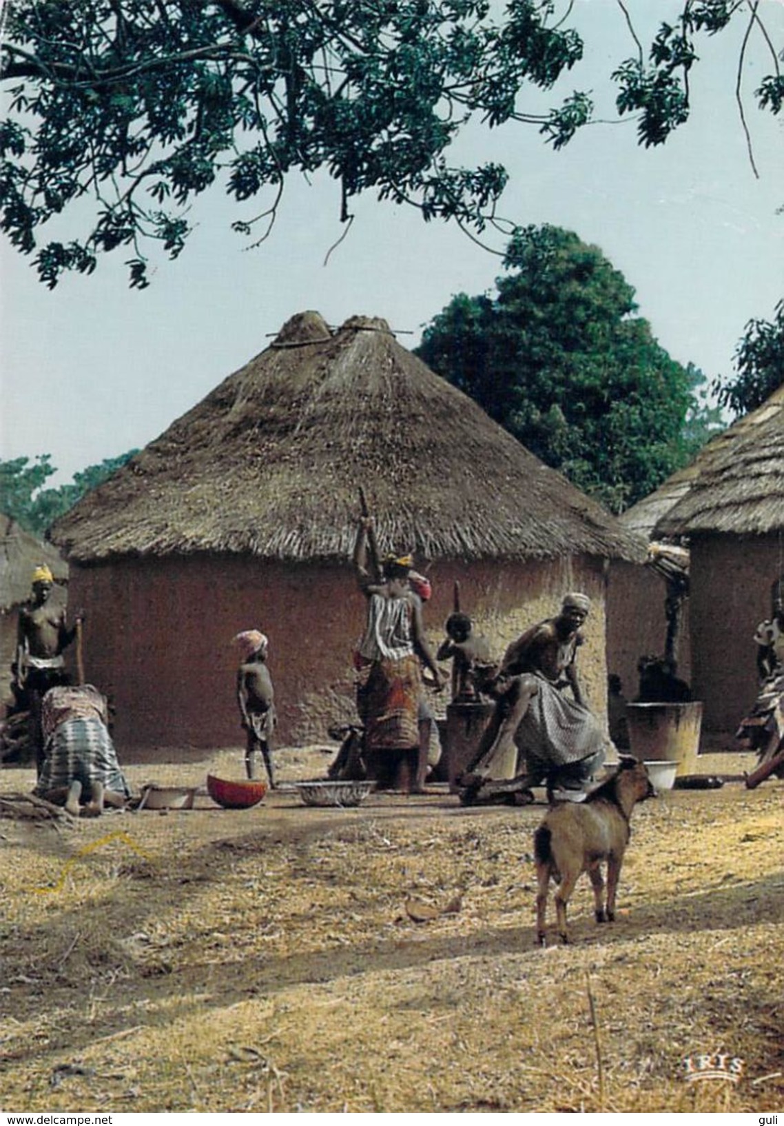 Afrique En Couleurs-Préparation Du Repas (seins Nus Nu) (carte Postée De Guinée:cliché BOUCHET / Vloo 8488)*PRIX FIXE - Guinée