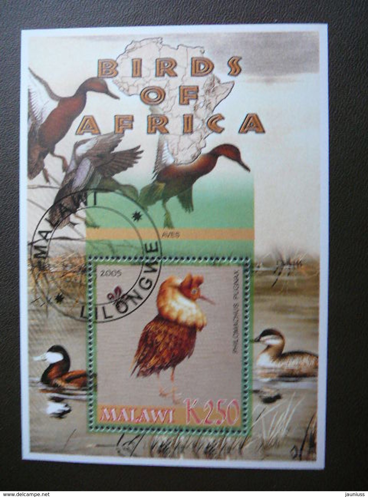 Malawi 2005 # Birds - Philomache Phylomache # Used S/s # Philomachus Birds Of Prey (141) - Autres & Non Classés